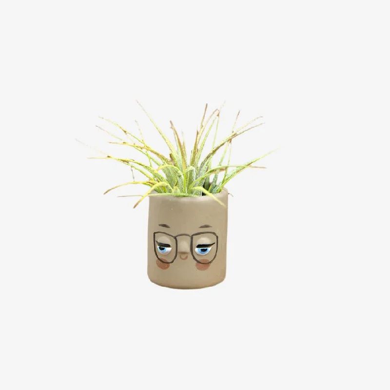 Bold hoop earrings with striking stone hoop designs -Mini Pal Planter with Airplant, Sand - Four Eyes